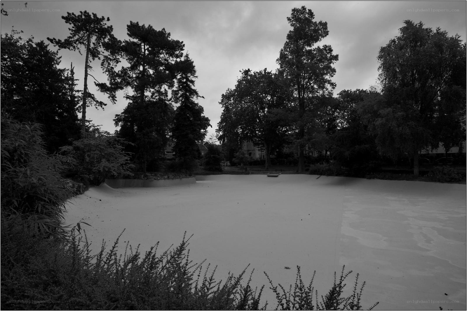 Empty skatepark in overcast weather