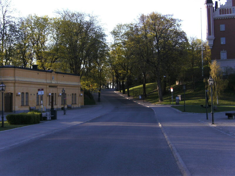 Empty street in a park