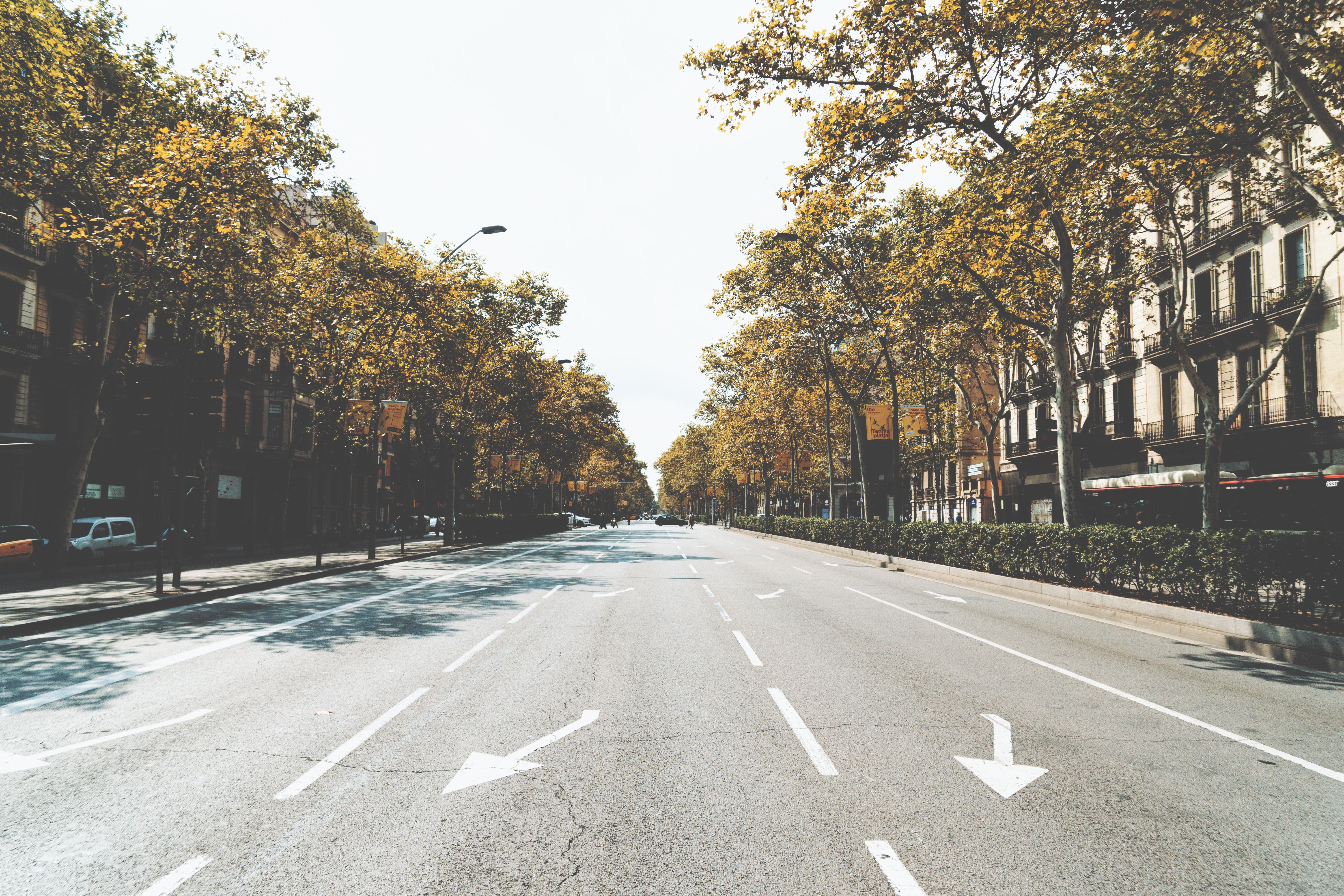 Empty street with autumn trees