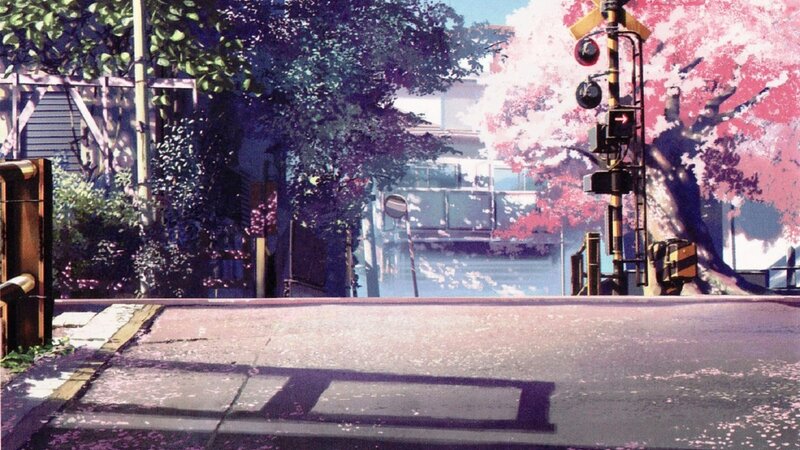 Empty Street with Cherry Blossoms