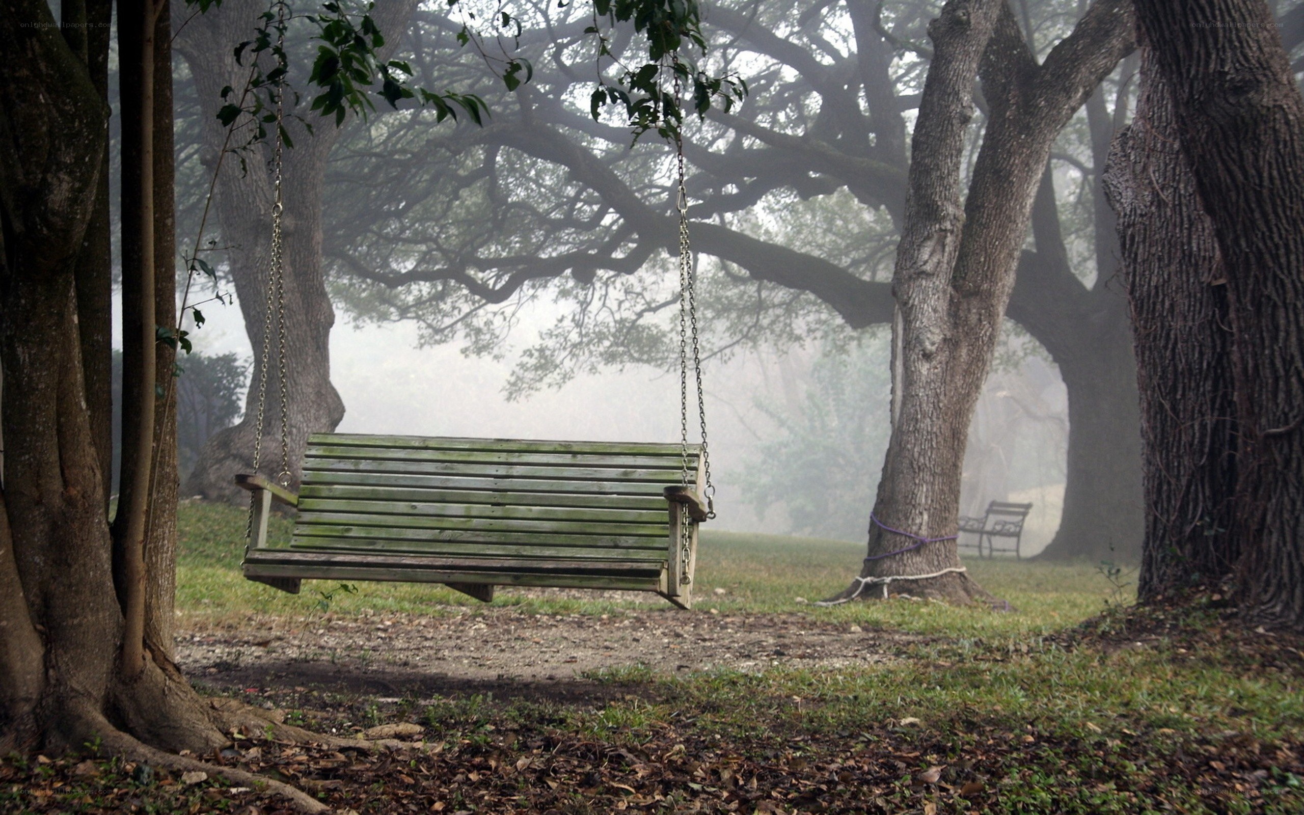 Empty swing in a misty park