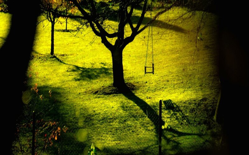 Empty swing in a yellow-lit yard