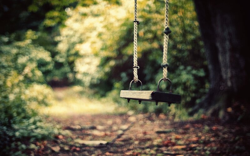 Empty Swing in Forest — Green