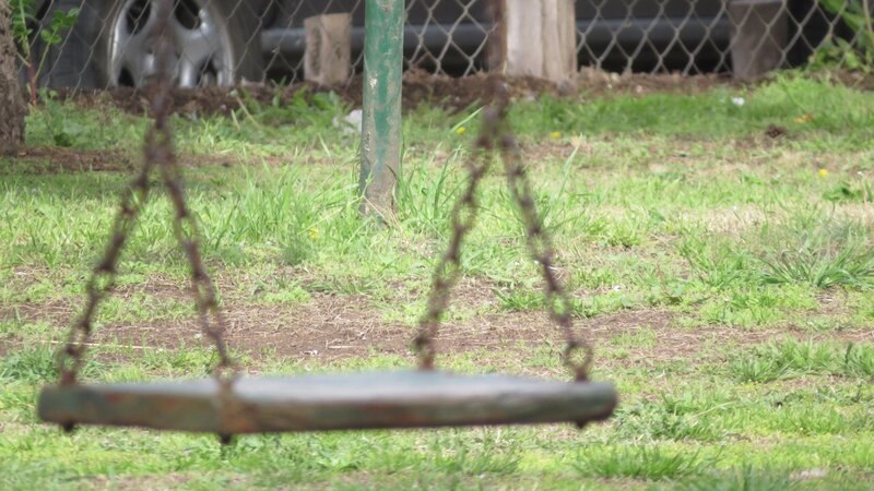 Empty Swing in Grass