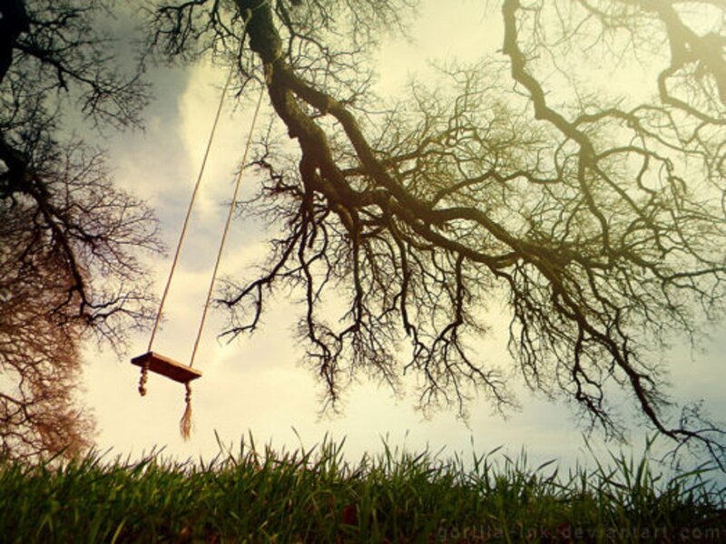 Empty Swing under Tree
