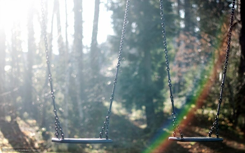 Empty swings in forest