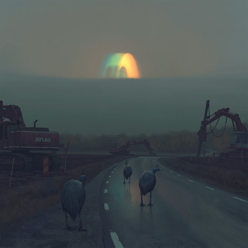 Emus on a Road
