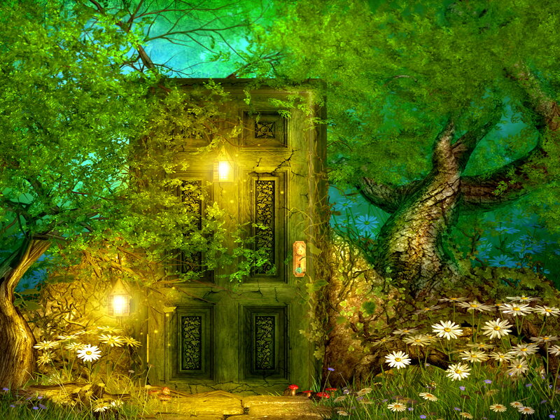 Enchanted Door in Forest