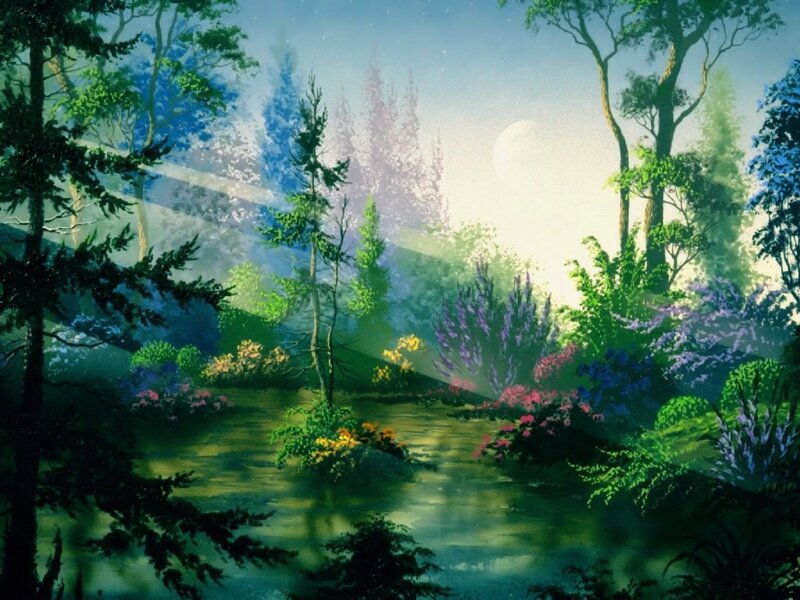 Enchanted forest at dawn