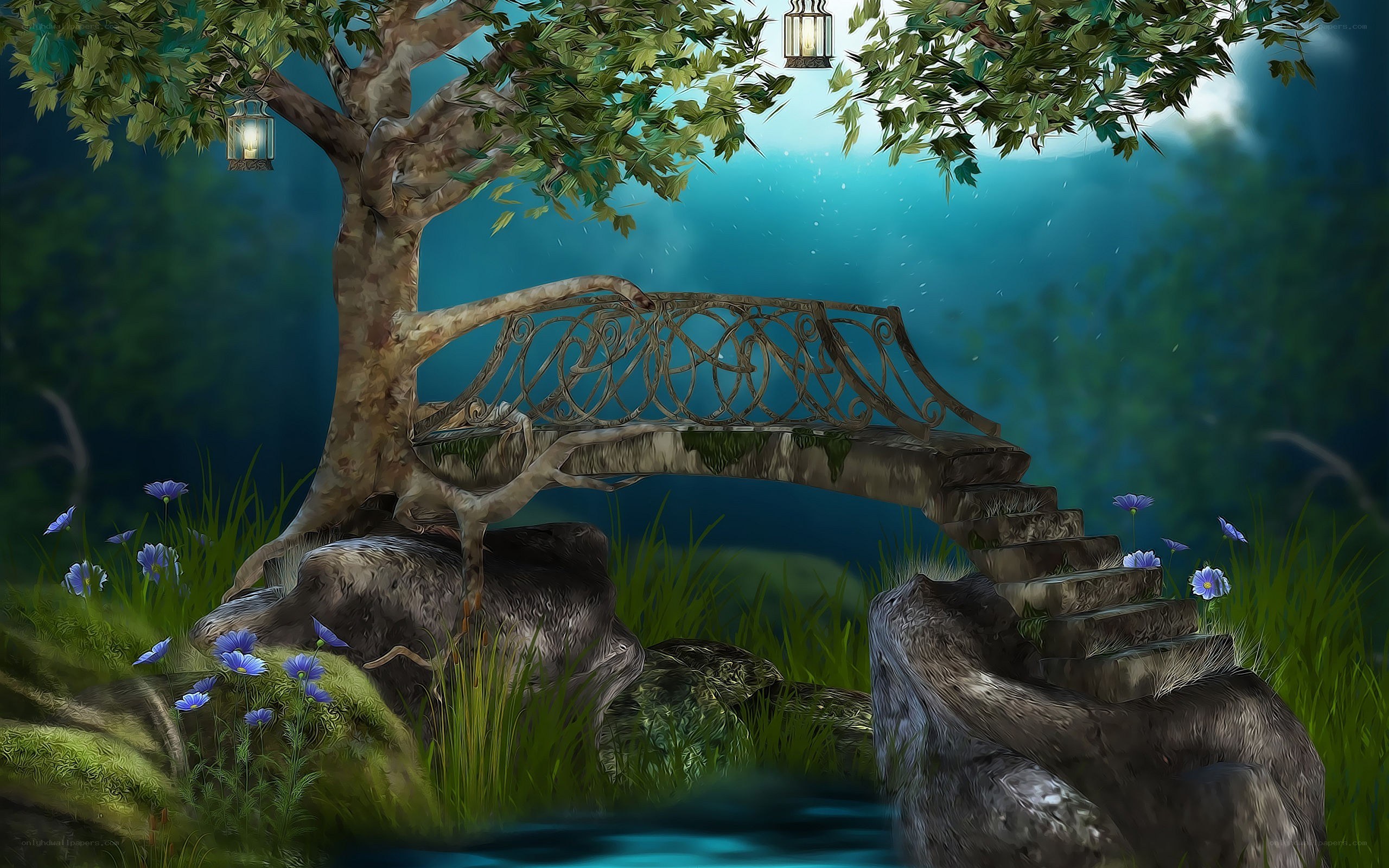 enchanted forest bench
