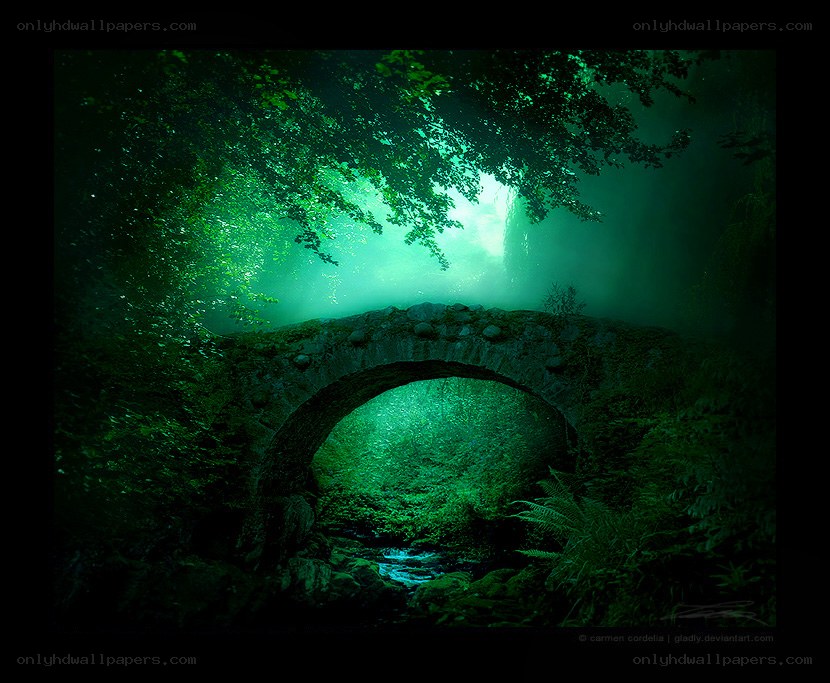 enchanted forest bridge