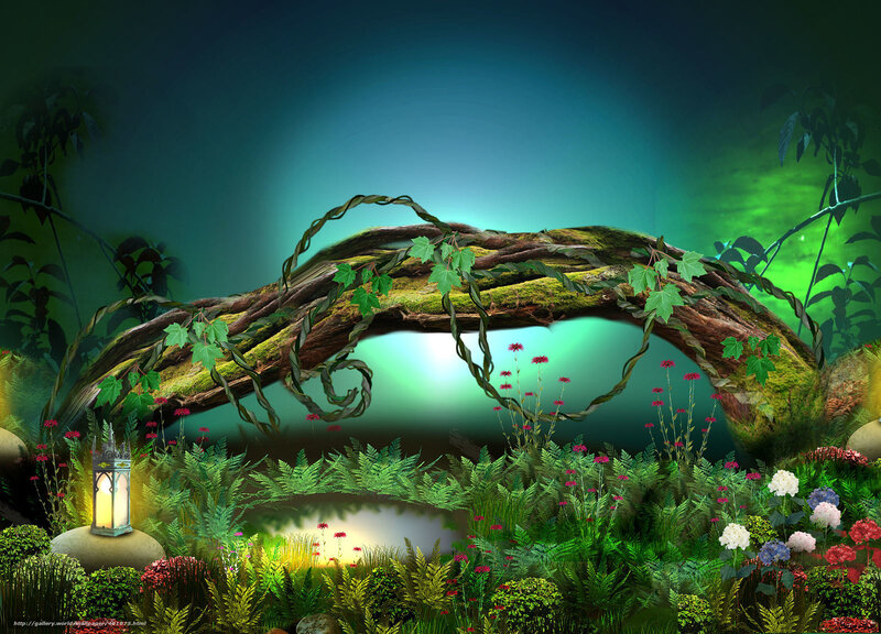 enchanted forest bridge