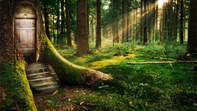 enchanted forest door