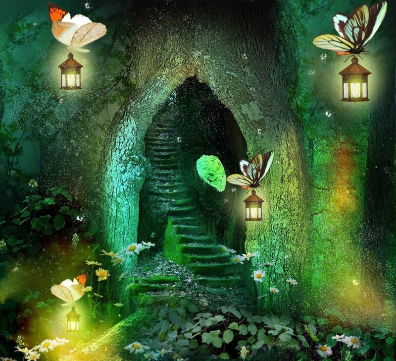 Enchanted Forest Entrance