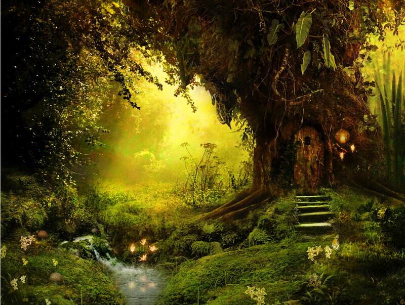 enchanted forest glade