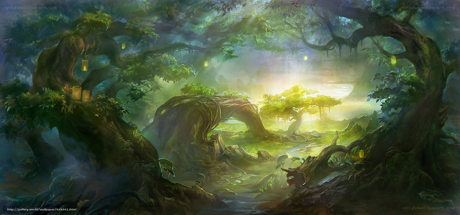 Enchanted forest glade