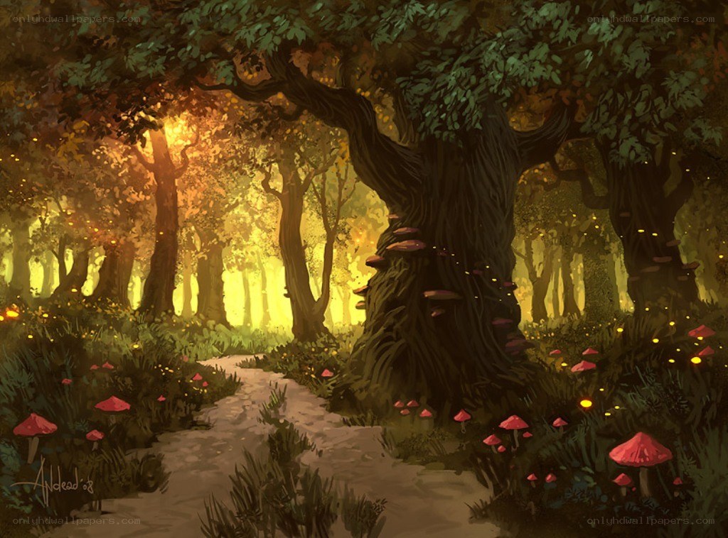 Enchanted forest path