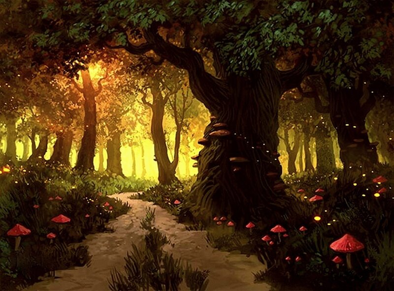 Enchanted forest path