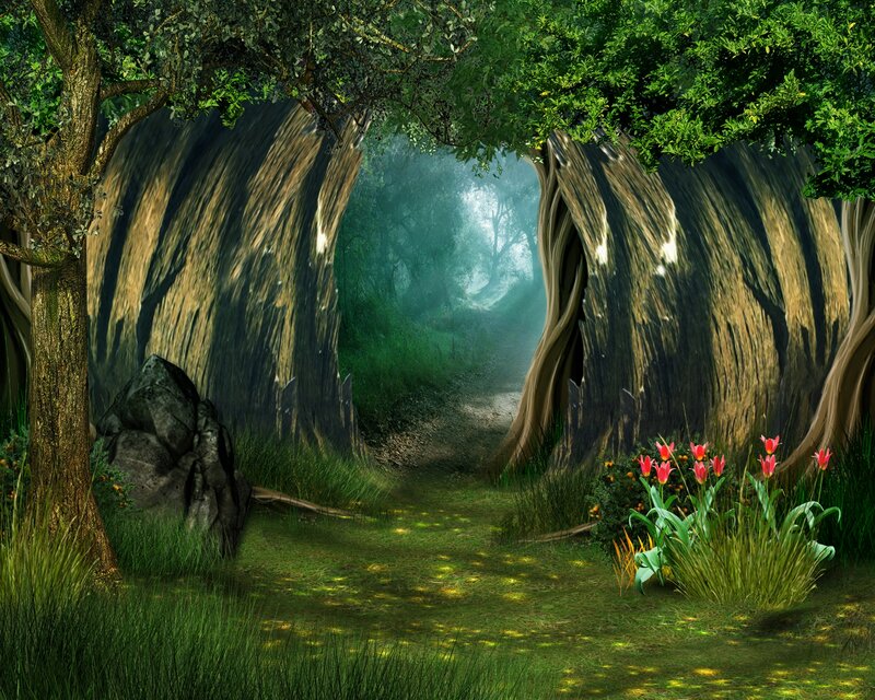 Enchanted Forest Path — Green, Serene