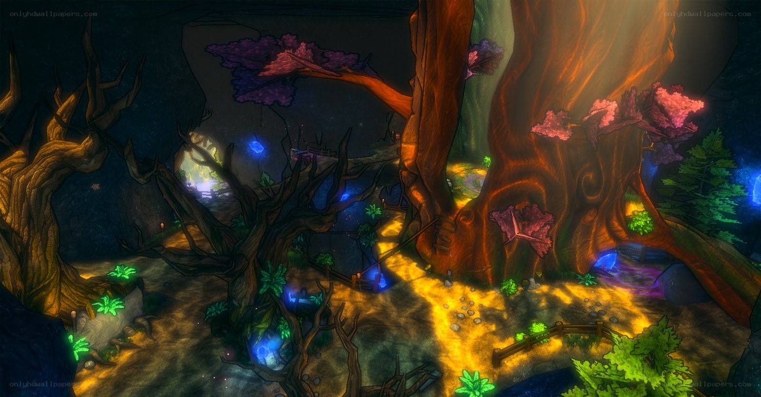 enchanted forest scene