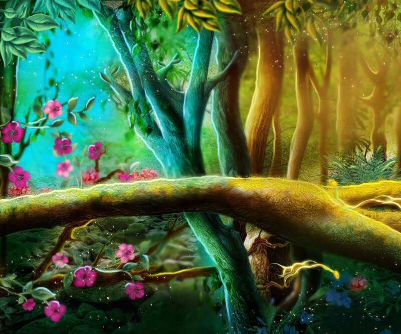 Enchanted Forest Scene — Green, Magical, Afternoon
