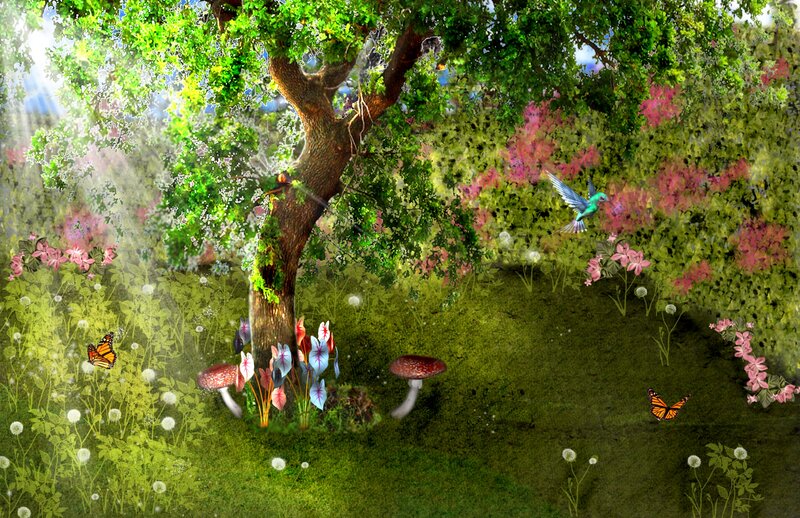 Enchanted Forest Scene — Green, Serene, Afternoon, Digital Art