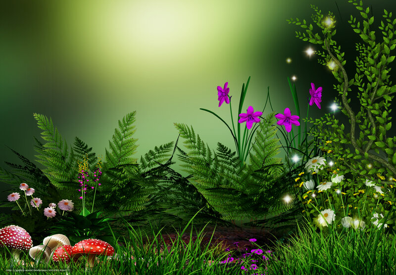 enchanted forest scene