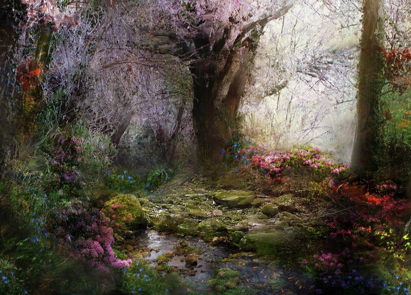 Enchanted forest stream