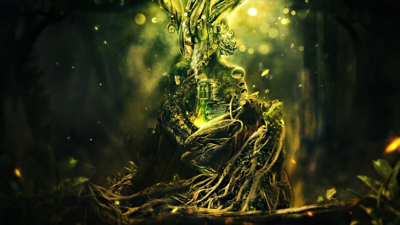 enchanted forest tree house