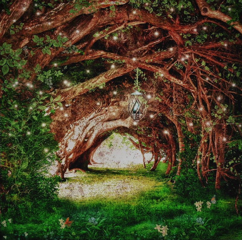 Enchanted Forest Tunnel