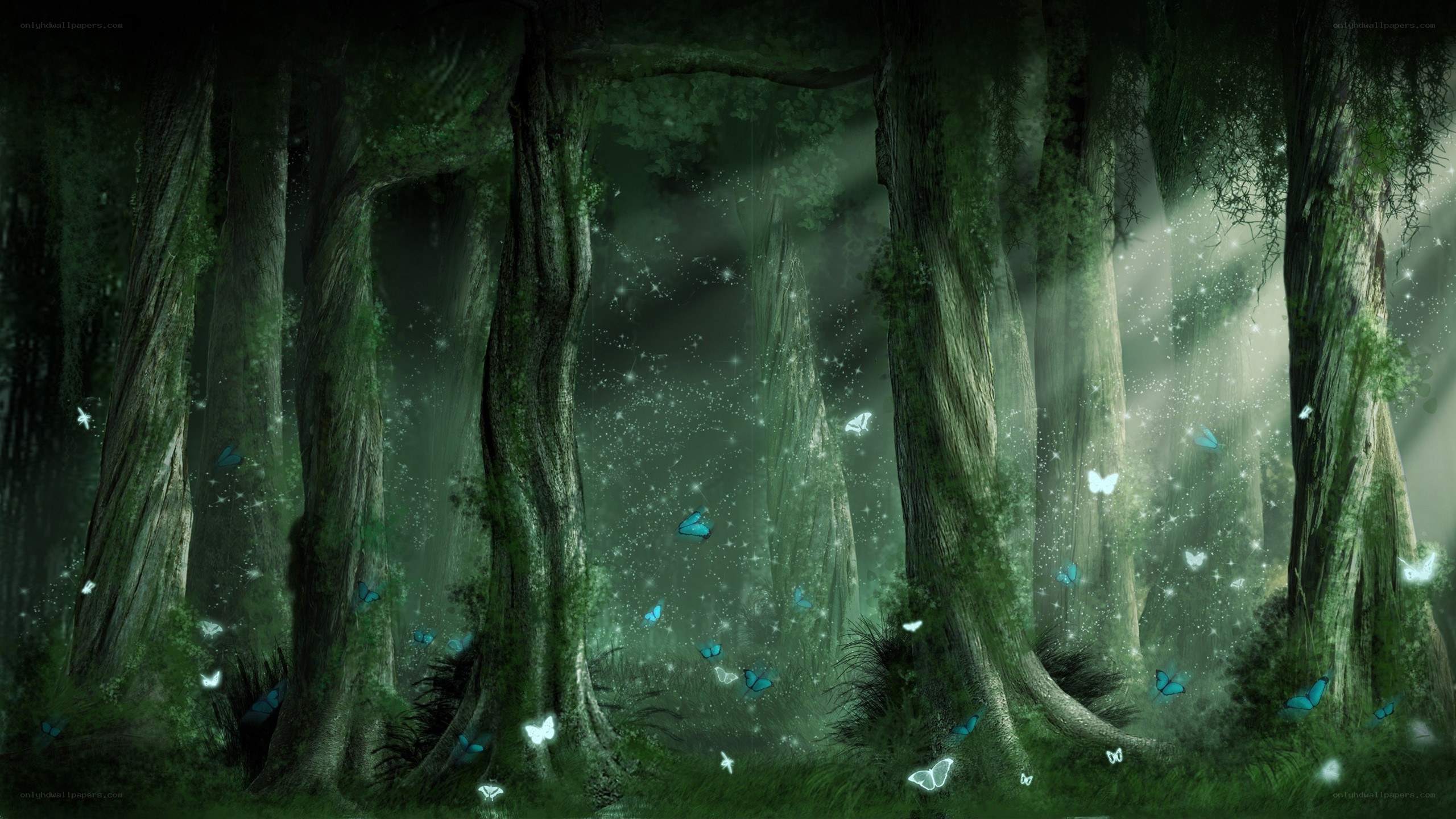 Enchanted forest with glowing butterflies