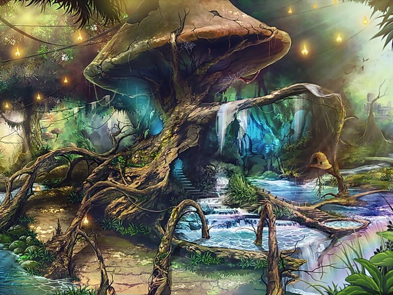 enchanted forest with glowing lights