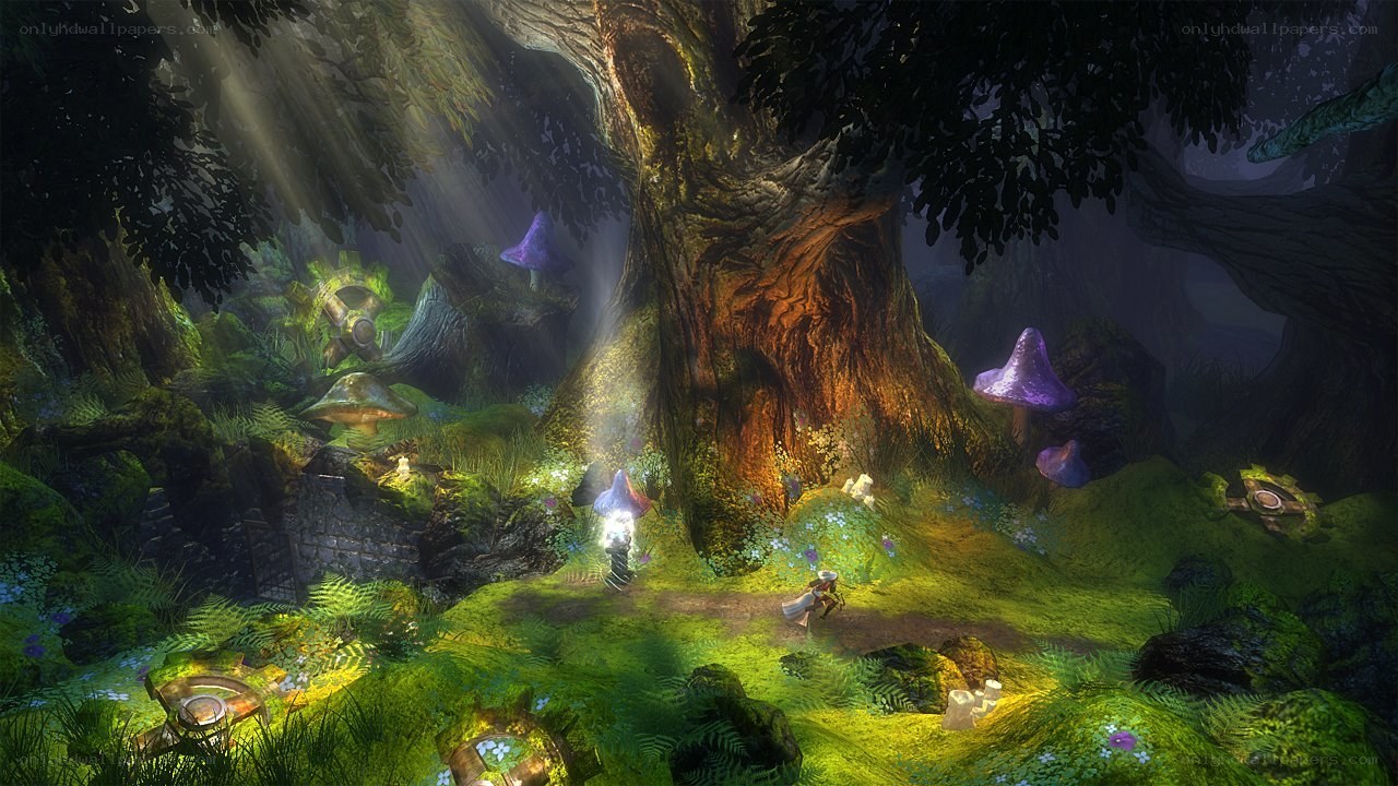 enchanted forest with glowing mushrooms