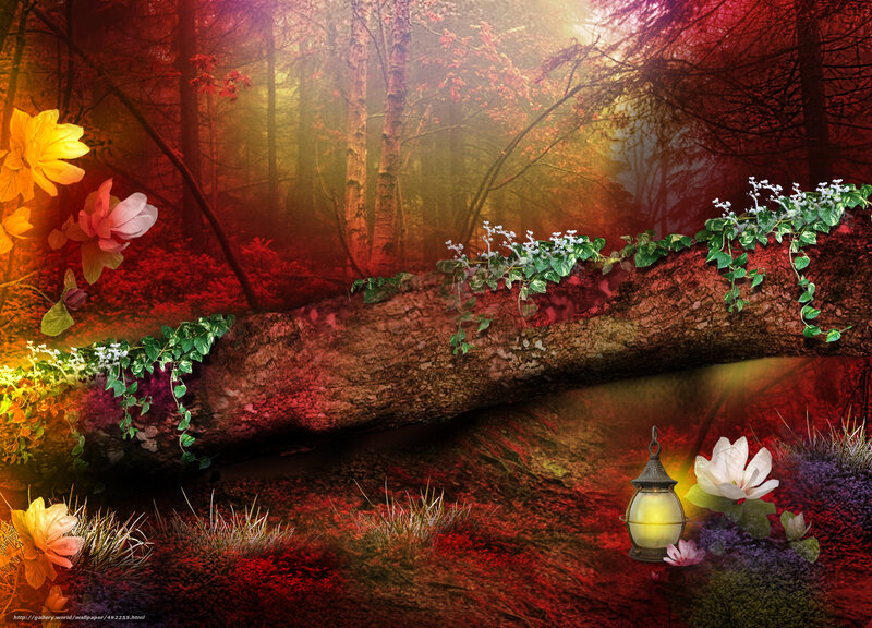 Enchanted forest with lantern
