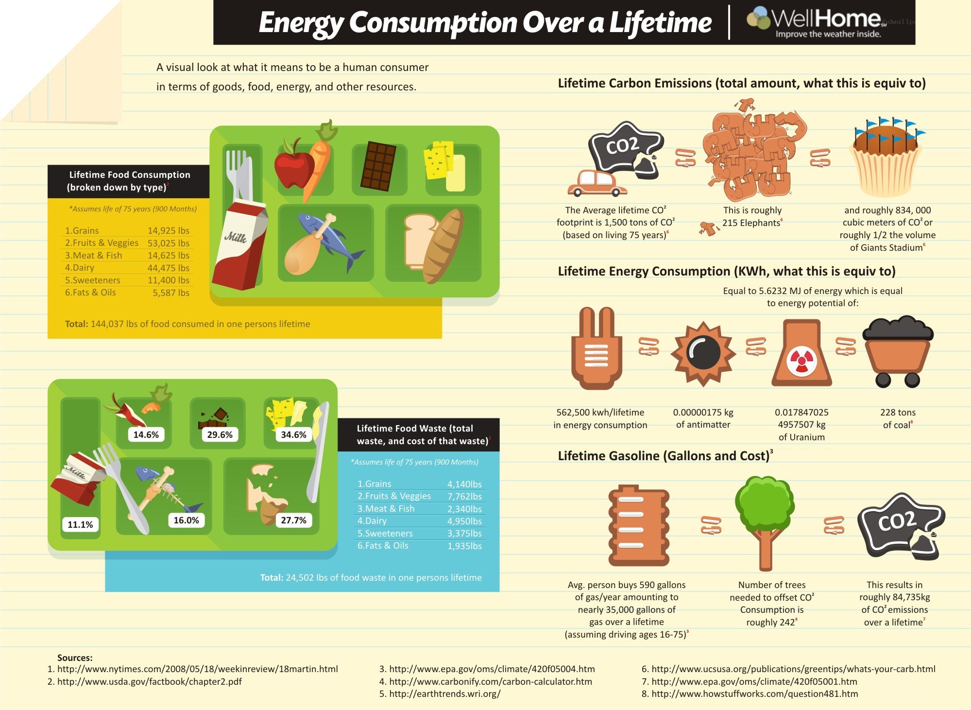 Energy Consumption Over a Lifetime