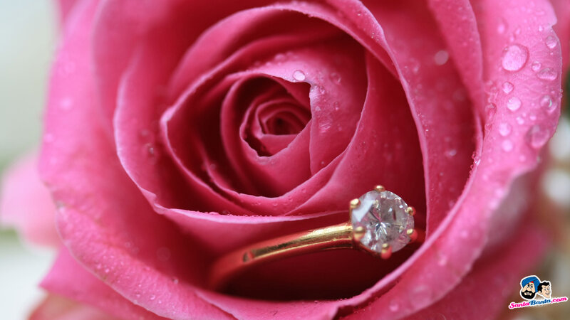 Engagement Ring in Rose — Pink