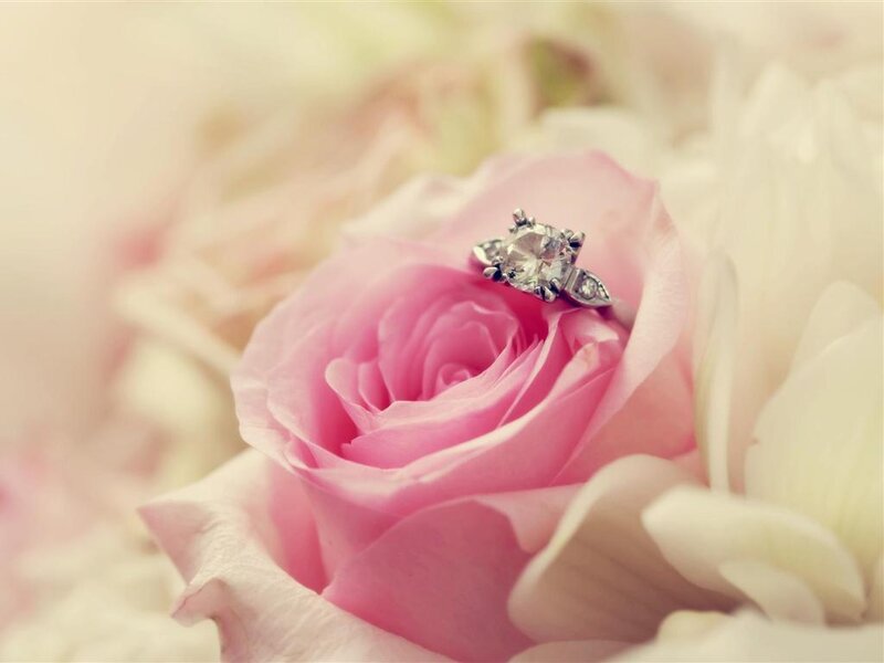 Engagement Ring on Rose — Pink, Romantic, Photograph