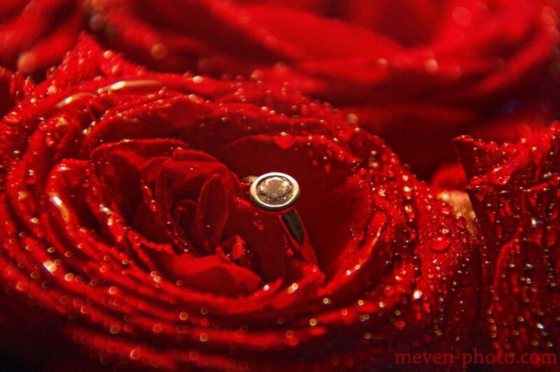 Engagement Ring on Rose — Red, Romantic
