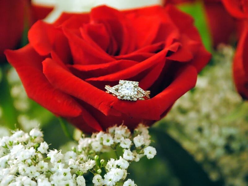 Engagement Ring on Rose — Red