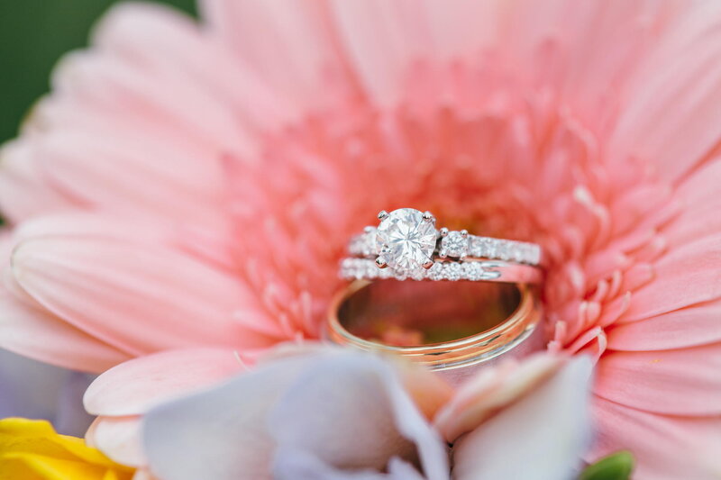 Engagement Rings on Flower