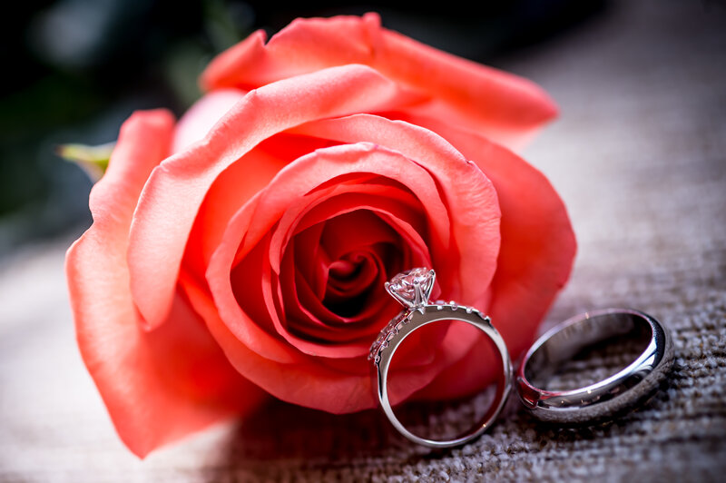 Engagement Rings on Rose