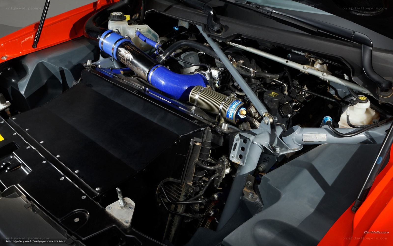 engine bay of a red car