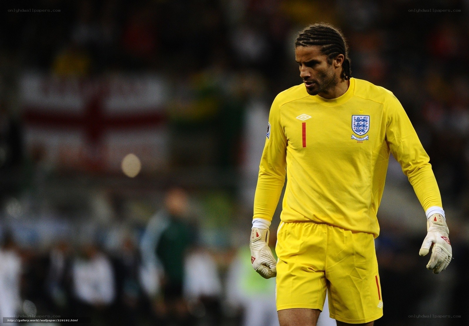 England goalkeeper in yellow kit