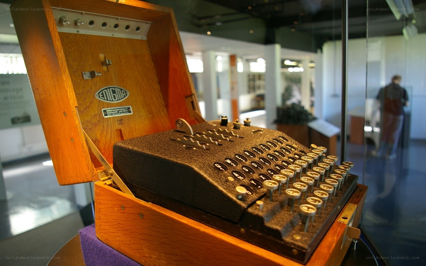 Enigma machine in display case