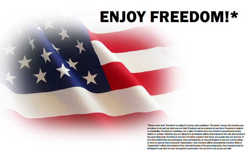 Enjoy Freedom with US Flag