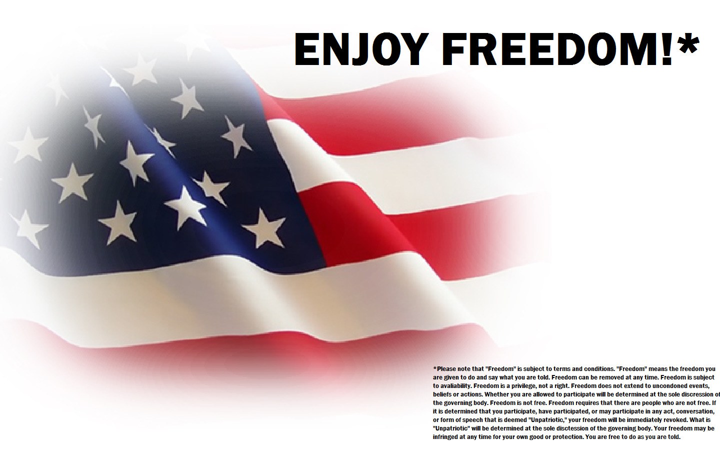 Enjoy Freedom with US Flag