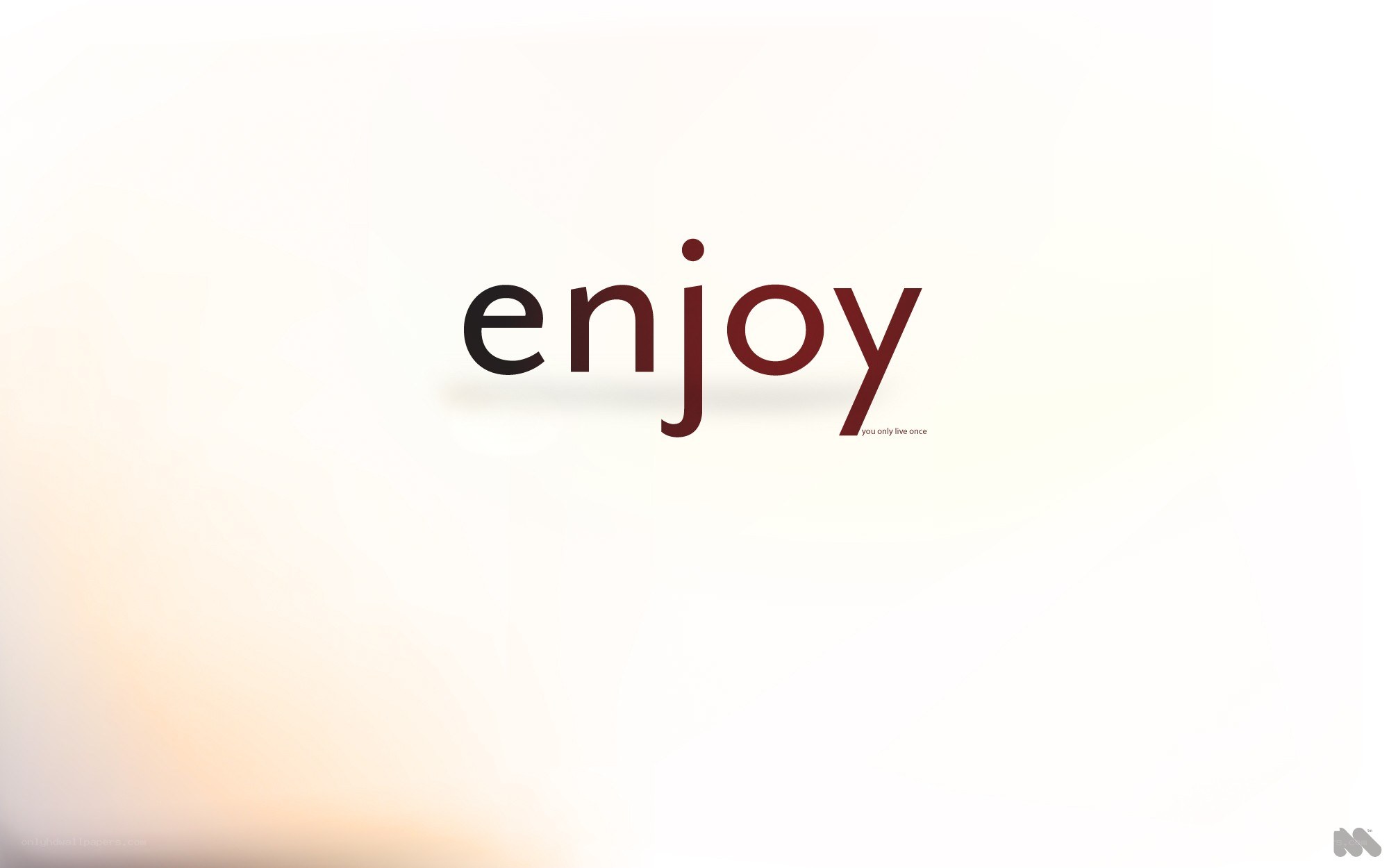Enjoy text on white background