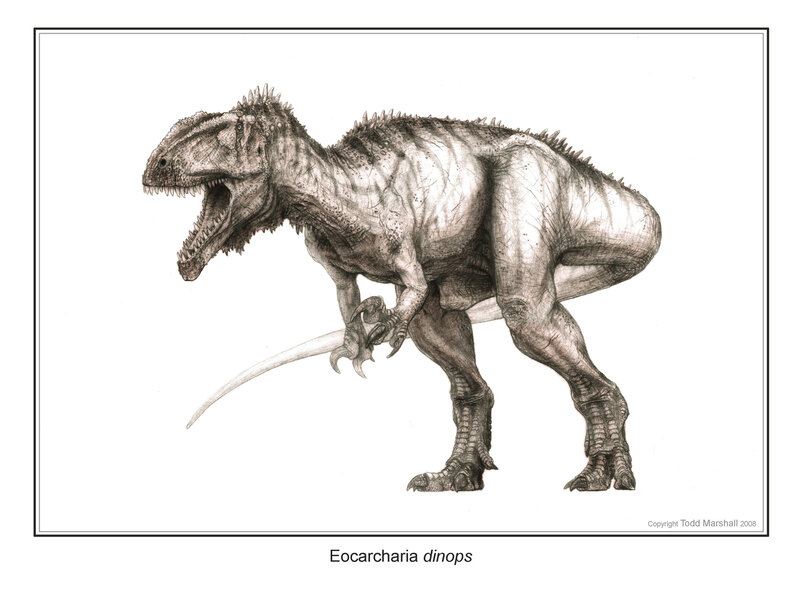 Eocarcharia dinops dinosaur