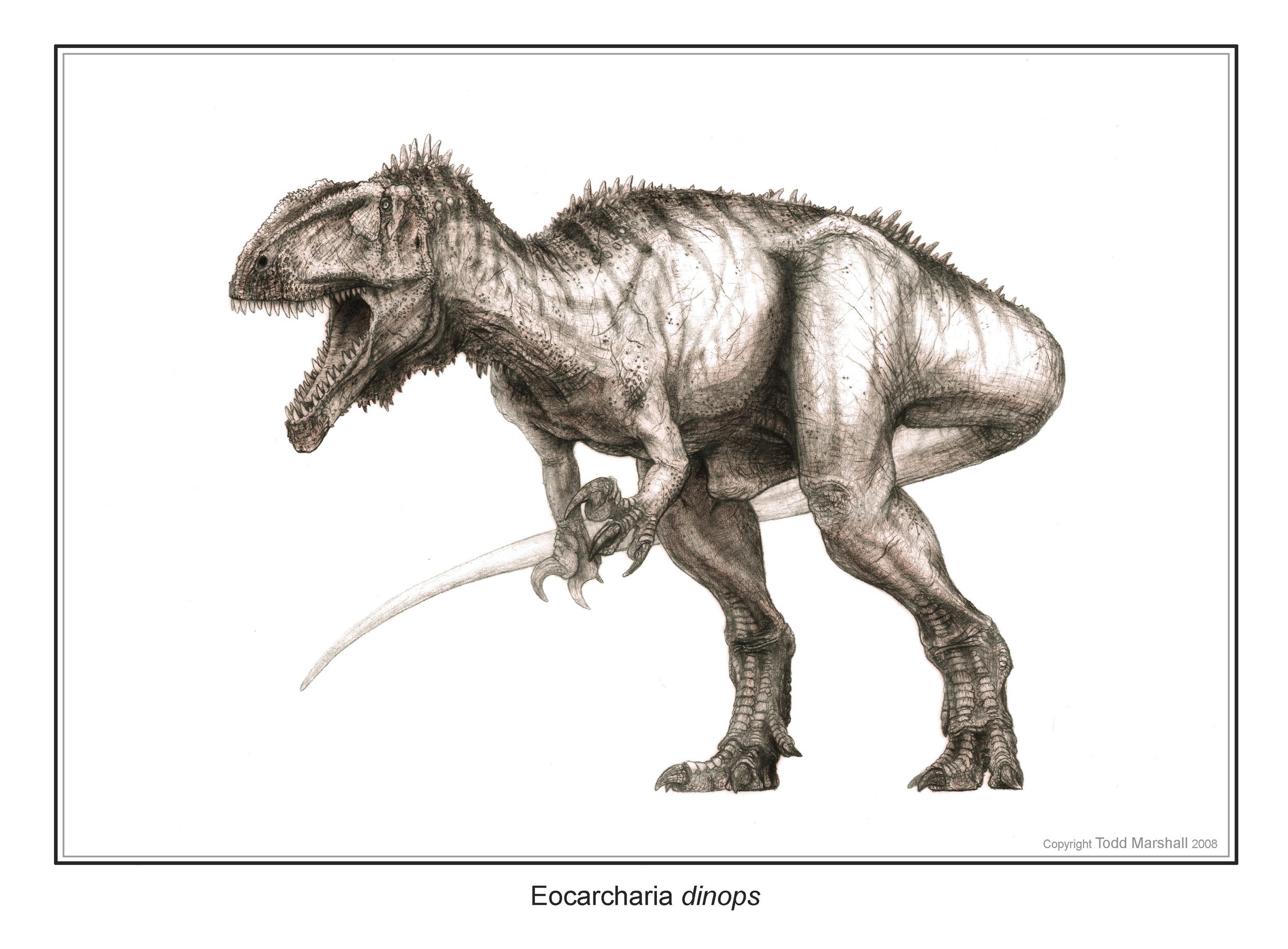 Eocarcharia dinops dinosaur