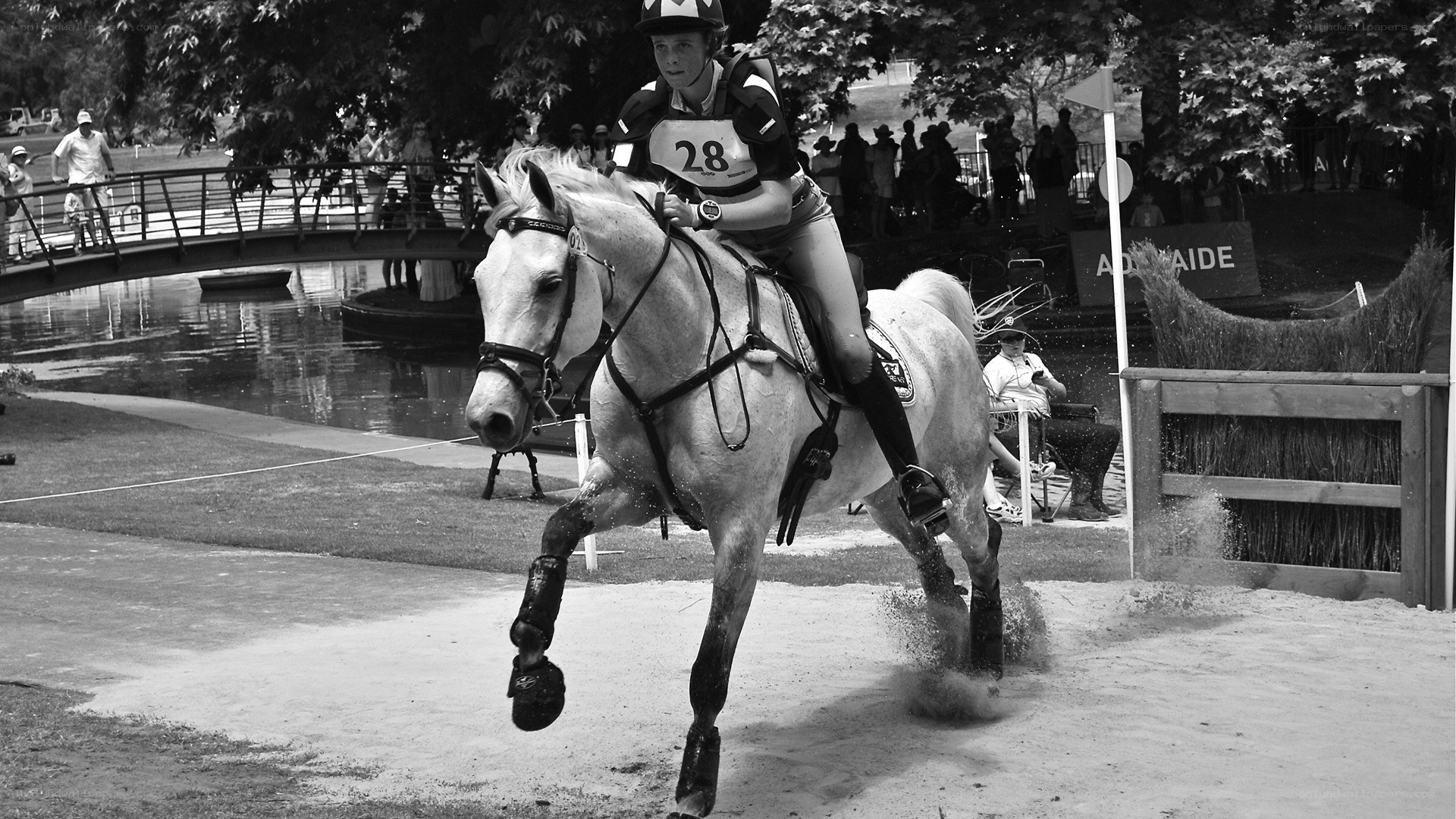 Equestrian athlete on horse
